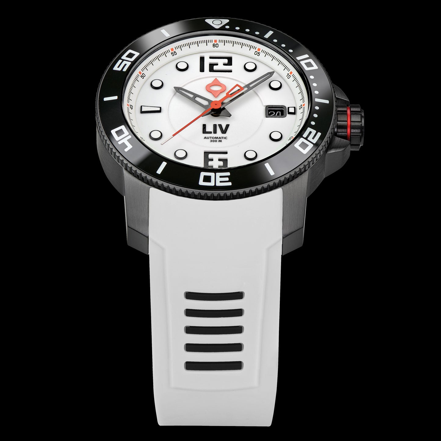 NEW! GX-Diver's 41mm Black Full Lume