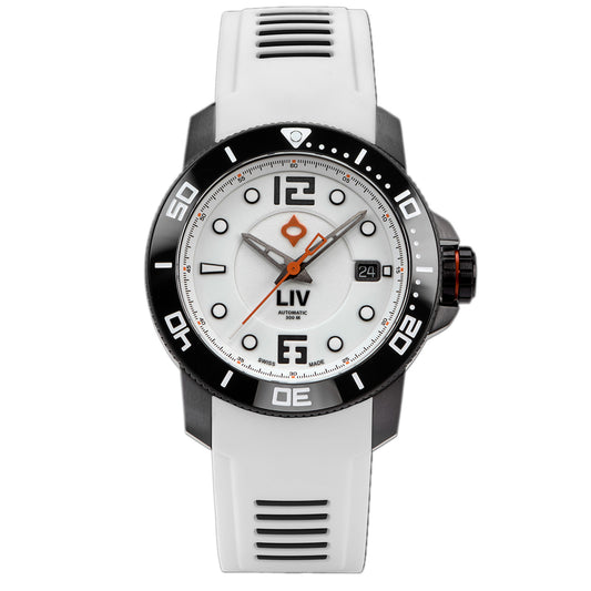 NEW! GX-Diver's 41mm Black Full Lume