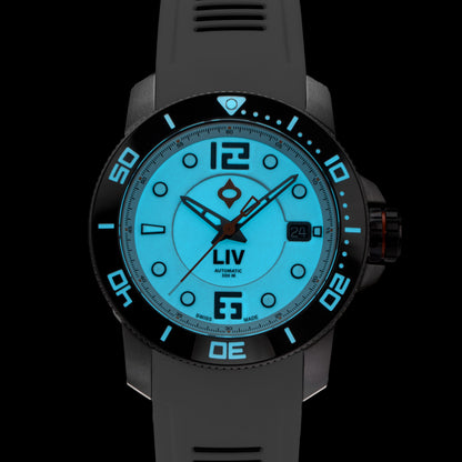 NEW! GX-Diver's 41mm Black Full Lume