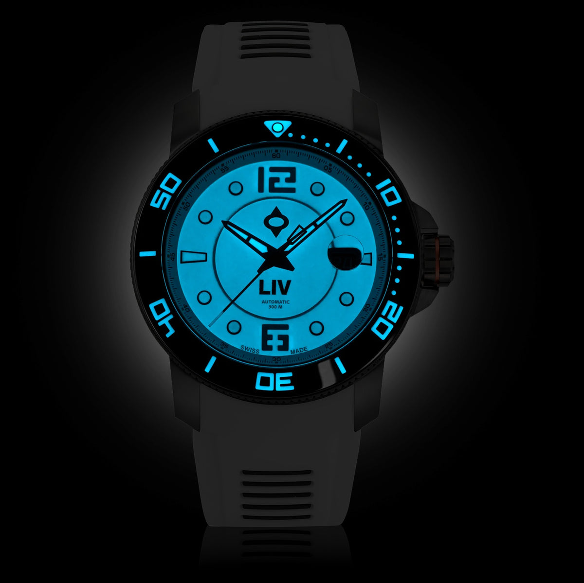 GX-Diver's 44mm Black Full Lume
