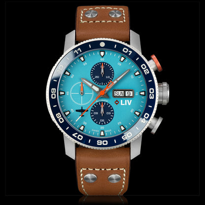 Custom P-51 Big Pilot 352nd/Cripes